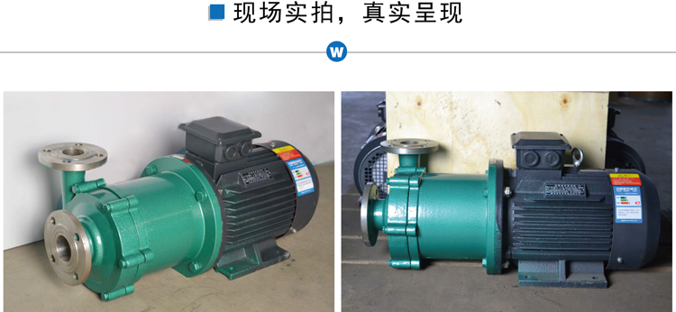 CQ不銹鋼磁力泵現(xiàn)場實(shí)拍.jpg