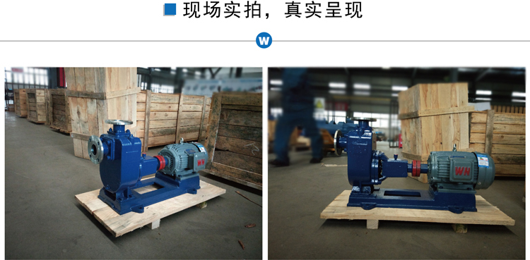 ZX不銹鋼自吸泵現場實拍.jpg